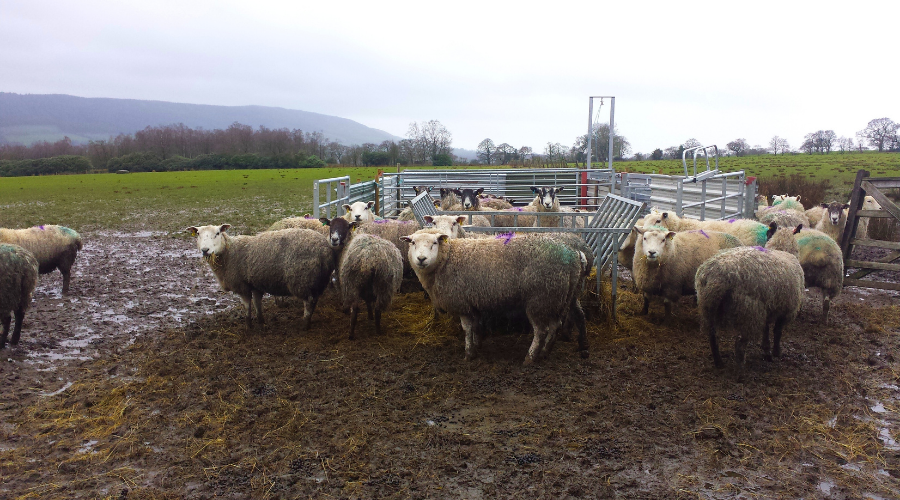 DEFRA announces up to £2 million in funding for farm automation and robotics projects