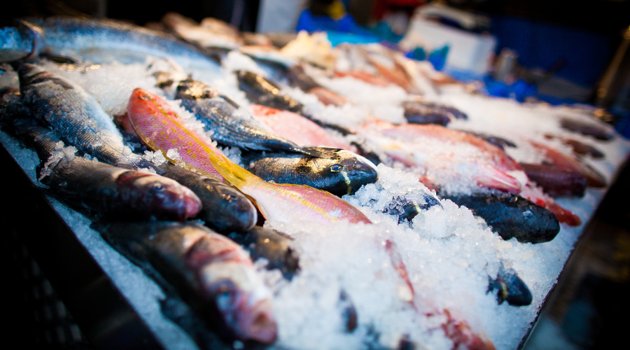 Why freshness labelling is critical for fish & seafood