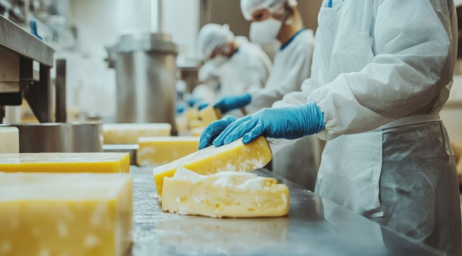 Cheese production workers