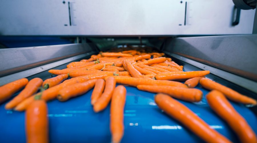 food-safety-regulations