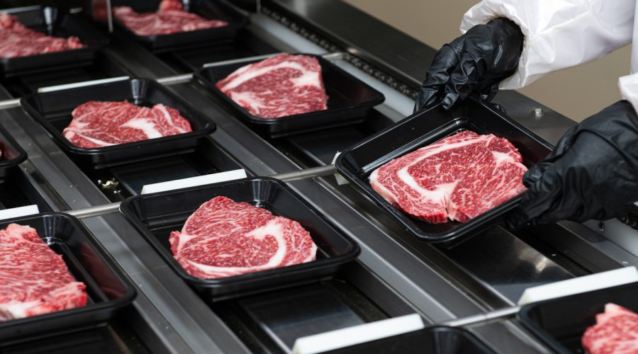 Steaks on a conveyor belt being packaged in a food processing plant