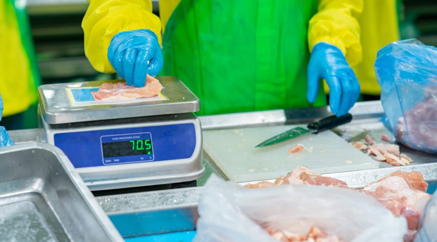 Worker cutting and weighing chicken meat.